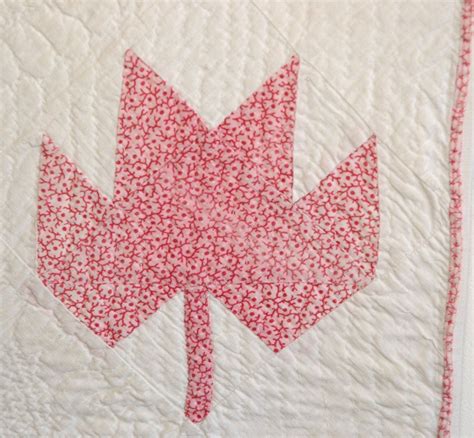 maple leaf background|19th century maple leaf pictures.